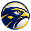 HAWKEYE HOLDINGS LTD logo