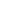 THE 357 COMPANY logo