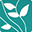 All Star Seed logo
