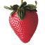GROWER SUPPLY GROUP LLC logo