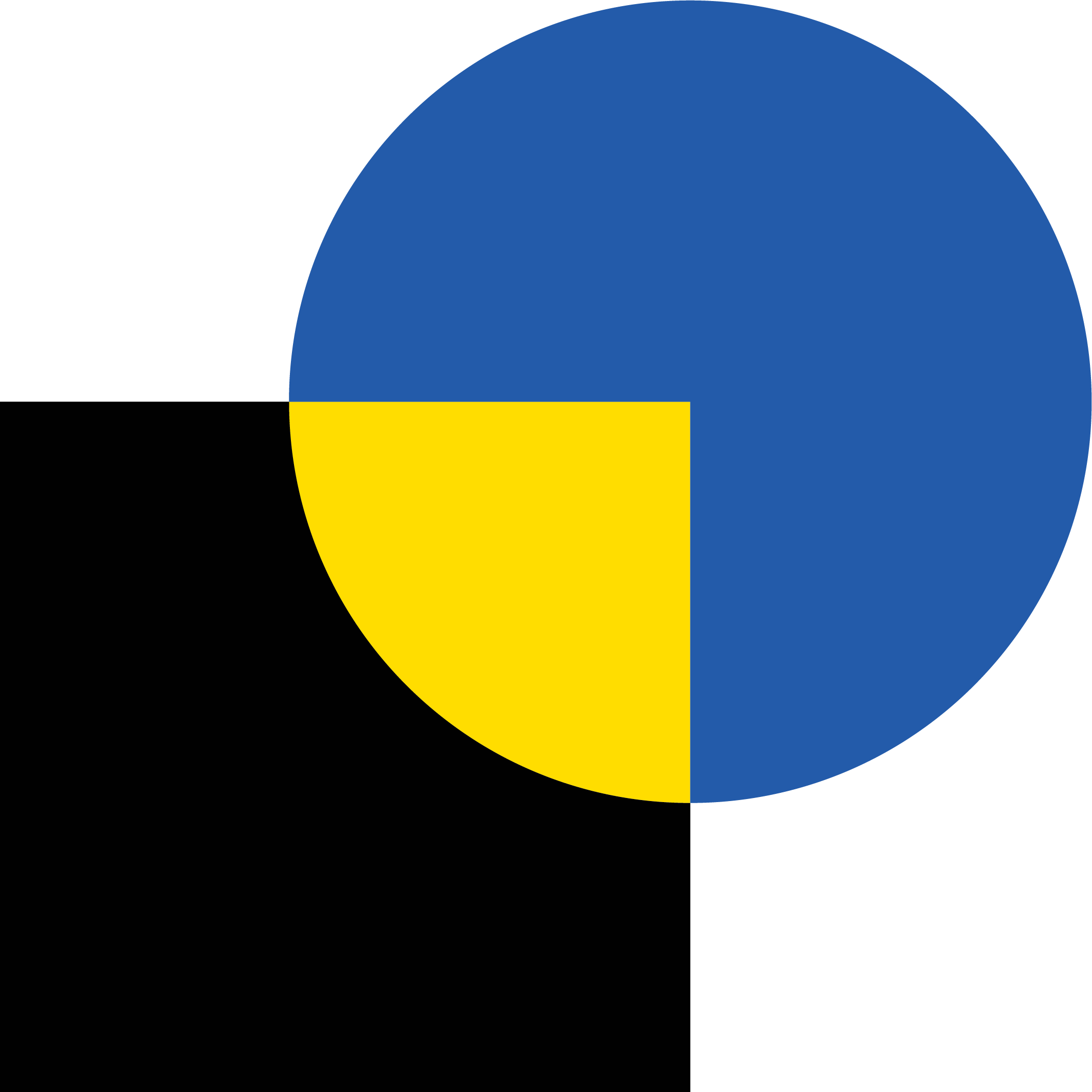 Banknote Corporation of America Inc logo