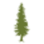 CEDAR GROVE COMPOSTING INC logo