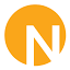 RAY NELSON logo