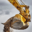 G LOPES CONTRUCTION INC logo
