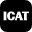 Icat Transportation, LLC logo