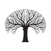 RGTZ TRANSPORT LLC logo