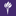 BLACKHAVEN LLC logo