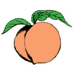 Peach State Truck Lines Inc logo