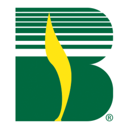 Bna Trucking LLC logo