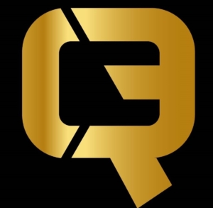 Dickerson Family Enterprises LLC logo