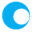 DLN INC logo