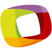 VIRJ SA DE CV logo