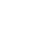 FOX logo